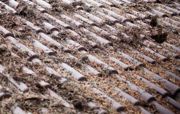 High Gallowhill roof cleaning companies